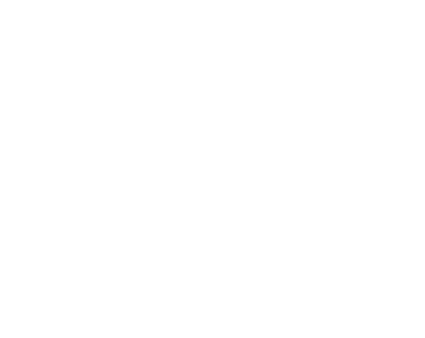 Film New Mexico